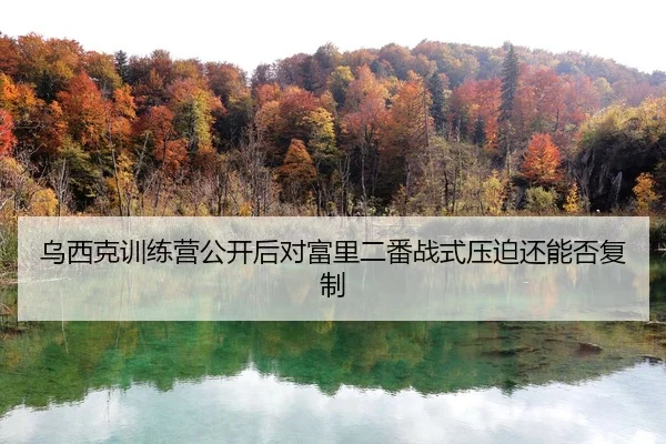 wu-xi-ke-xun-lian-ying-gong-kai-hou-dui-fu-li-er-fan-zhan-shi-ya-po-hai-neng-fou-fu-zhi-2-371.jpg