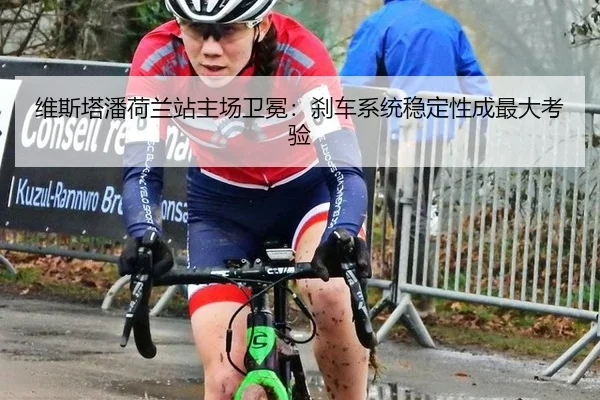 wei-si-ta-pan-he-lan-zhan-zhu-chang-wei-mian-sha-che-xi-tong-wen-ding-xing-cheng-zui-da-kao-yan-2-992.jpg