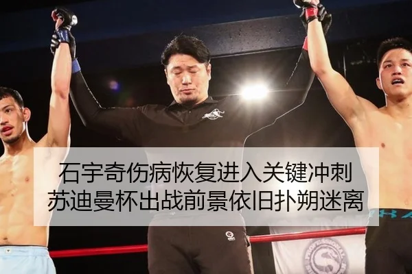 石宇奇伤病恢复进入关键冲刺 苏迪曼杯出战前景依旧扑朔迷离