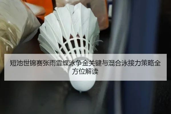 duan-chi-shi-jin-sai-zhang-yu-fei-die-yong-zheng-jin-guan-jian-yu-hun-he-yong-jie-li-ce-lve-quan-fang-wei-jie-du-3-296.jpg