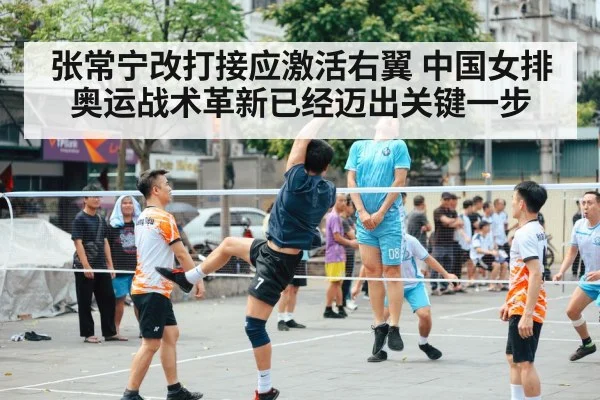 volleyball action game
